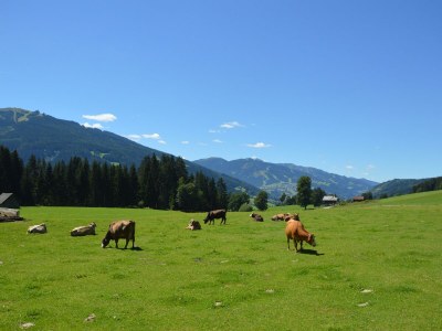 Apartment Appartement E - 2 Schlafzimmer, Dusche, WC - Outdoor photo 10