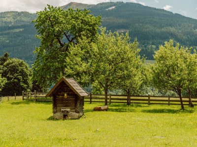 Apartment Appartement E - 2 Schlafzimmer, Dusche, WC - Outdoor photo 12