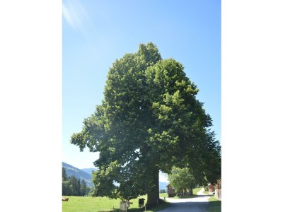 Apartment Appartement E - 2 Schlafzimmer, Dusche, WC - Outdoor photo 13