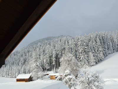 Apartment Appartement E - 2 Schlafzimmer, Dusche, WC - Outdoor photo 19