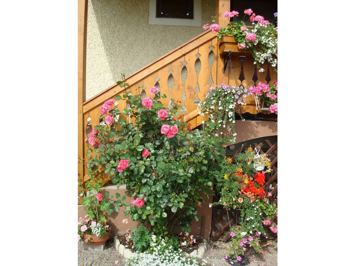 Apartment Apartment/2 Schlafräume/Dusche, WC - Outdoor photo 3