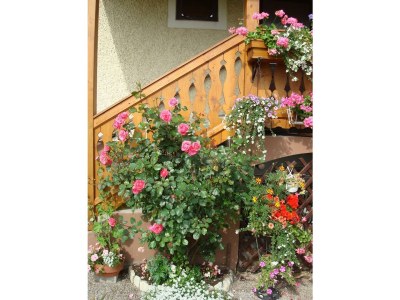 Apartment Apartment/2 Schlafräume/Dusche, WC - Outdoor photo 3