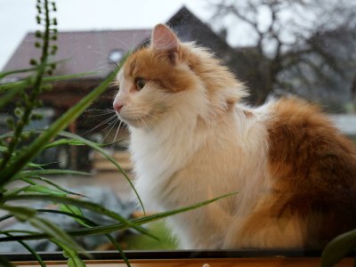 Apartment Apartment Abendsonne - 2 Schlafräume, Dusche/WC - Outdoor photo 14