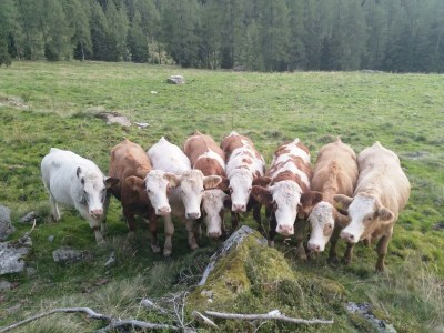 Apartment Apartment Abendsonne - 2 Schlafräume, Dusche/WC - Outdoor photo 38