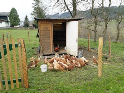 Apartment Apartment Abendsonne - 2 Schlafräume, Dusche/WC - Outdoor photo 44