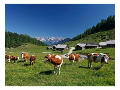 Apartment Apartment Abendsonne - 2 Schlafräume, Dusche/WC - Outdoor photo 48