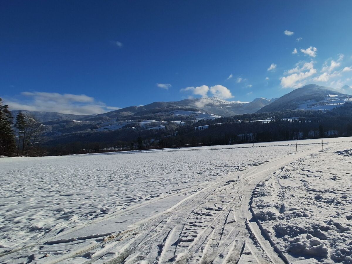 Apartment Chalet Lärchforst - Outdoor photo 3