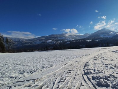 Apartment Chalet Lärchforst - Outdoor photo 3