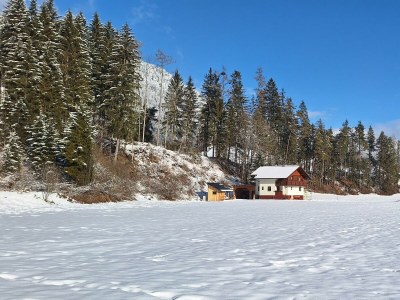 Apartment Chalet Lärchforst - Outdoor photo 6