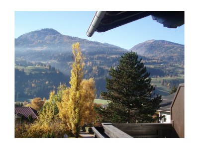 Apartment Studio, Bad, WC, Wohn-/Schlafraum in Aich - Apartment