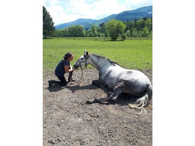 Apartment Appartement, 1 Schlafraum, Dusche, WC - Outdoor photo 10