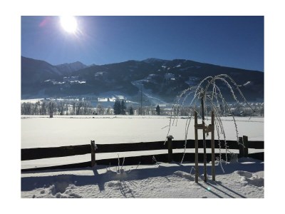 Apartment Appartement Berg & Wald - 2 Schlafr., Dusche, WC - Outdoor photo 19