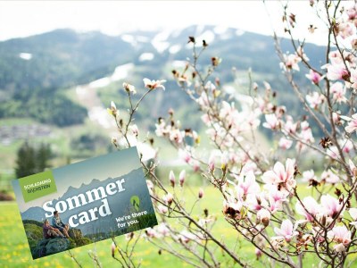 Apartment Appartement Berg & Wald - 2 Schlafr., Dusche, WC - Outdoor photo 25