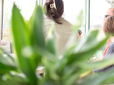 Apartment Appartement Berg & Wald - 2 Schlafr., Dusche, WC - Outdoor photo 54