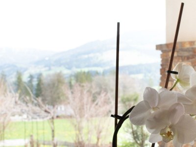 Apartment Appartement Berg & Wald - 2 Schlafr., Dusche, WC - Outdoor photo 60