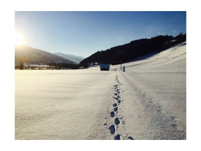 Apartment Appartement Berg & Wald - 2 Schlafr., Dusche, WC - Outdoor photo 24
