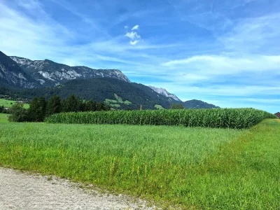 Apartment Appartement Grimmingblick - Outdoor photo 14