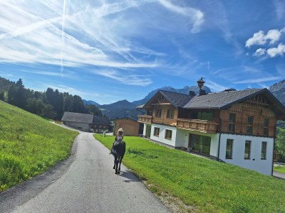 Apartment Appartement Grimmingblick - Outdoor photo 18