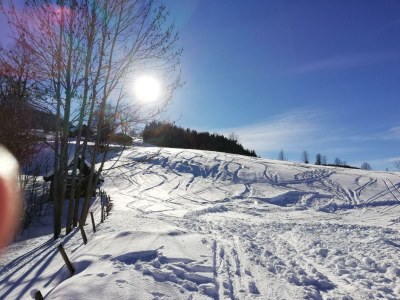 Apartment App. Stoderblick - 1-2 SZ & Bäder (2-4 P.) - Outdoor photo 23