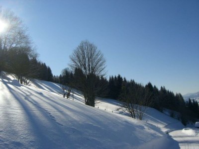 Apartment App. Stoderblick - 1-2 SZ & Bäder (2-4 P.) - Outdoor photo 25