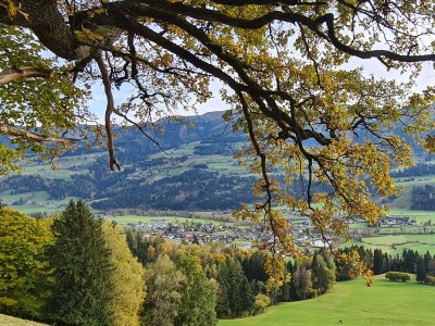 Apartment App. Stoderblick - 1-2 SZ & Bäder (2-4 P.) - Outdoor photo 30