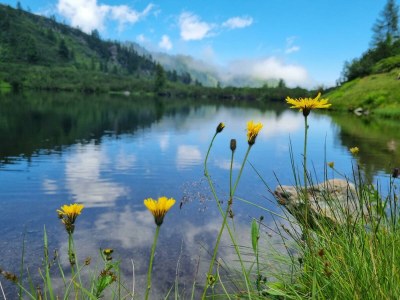 Apartment App. Stoderblick - 1-2 SZ & Bäder (2-4 P.) - Outdoor photo 37