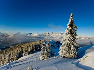 Apartment Studio Gössenberg - Outdoor photo 27