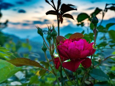 Apartment Dachsteinblick - Outdoor photo 7