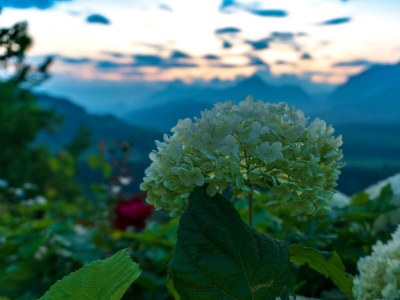 Apartment Dachsteinblick - Outdoor photo 8