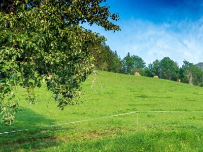 Apartment Dachsteinblick - Outdoor photo 10
