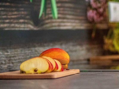 Apartment Dachsteinblick - Features photo 21