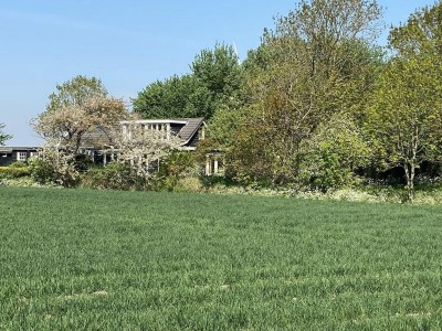 Holiday house VZ184 Vakantiehuis Kamperland - Outdoor photo 20