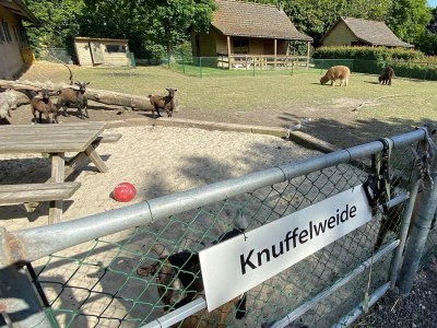 Chalet VZ851 Vakantiechalet in Ossenisse - Outdoor photo 28