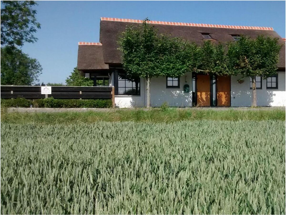 Holiday house VZ1166 Vakantiehuis te Cadzand