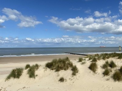 Holiday house VZ194 Appartement Cadzand - Outdoor photo 16