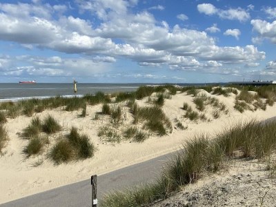 Holiday house VZ194 Appartement Cadzand - Outdoor photo 17