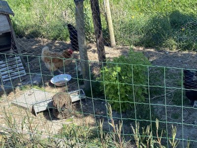 Holiday house VZ740 Vakantiewoning Vrouwenpolder - Outdoor photo 24