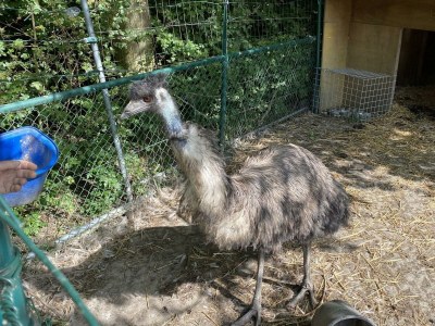 Chalet VZ849 Vakantiechalet Ossenisse - Outdoor photo 8