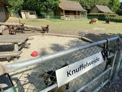 Chalet VZ849 Vakantiechalet Ossenisse - Outdoor photo 20