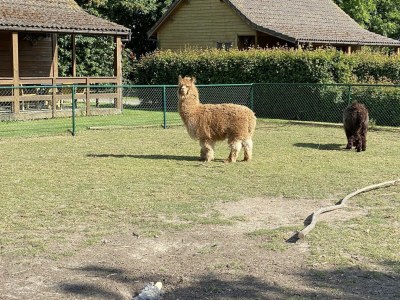 Chalet VZ849 Vakantiechalet Ossenisse - Outdoor photo 32