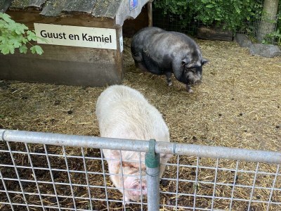 Chalet VZ849 Vakantiechalet Ossenisse - Outdoor photo 35