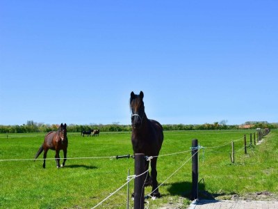 Holiday house VZ118 Appartement Oostkapelle - Outdoor photo 11