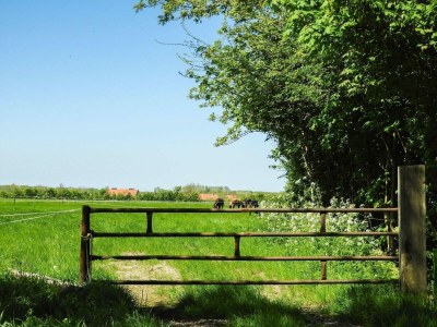 Holiday house VZ118 Appartement Oostkapelle - Outdoor photo 12