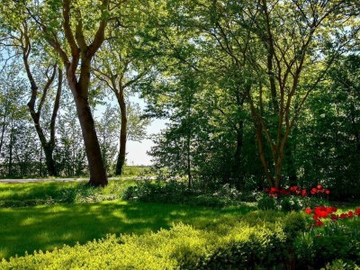 Holiday house VZ118 Appartement Oostkapelle - Outdoor photo 14