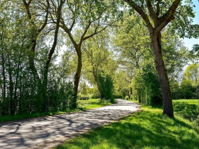 Holiday house VZ118 Appartement Oostkapelle - Outdoor photo 15