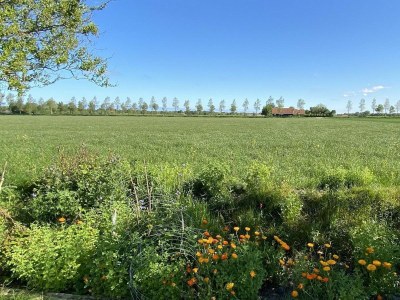 Holiday house VZ581 Luxe Studio Vrouwenpolder - Outdoor photo 20