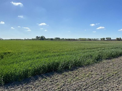 Holiday house VZ581 Luxe Studio Vrouwenpolder - Outdoor photo 21