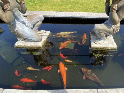 Holiday house VZ704 Vrijstaand Vakantiehuis Renesse - Outdoor photo 14