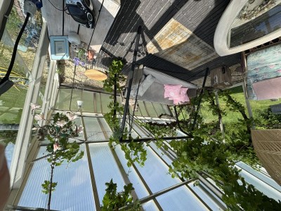 Holiday house VZ1104 Vrijstaand vakantiehuis in Ouddorp - Outdoor photo 26