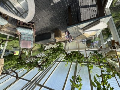 Holiday house VZ1104 Vrijstaand vakantiehuis in Ouddorp - Outdoor photo 27